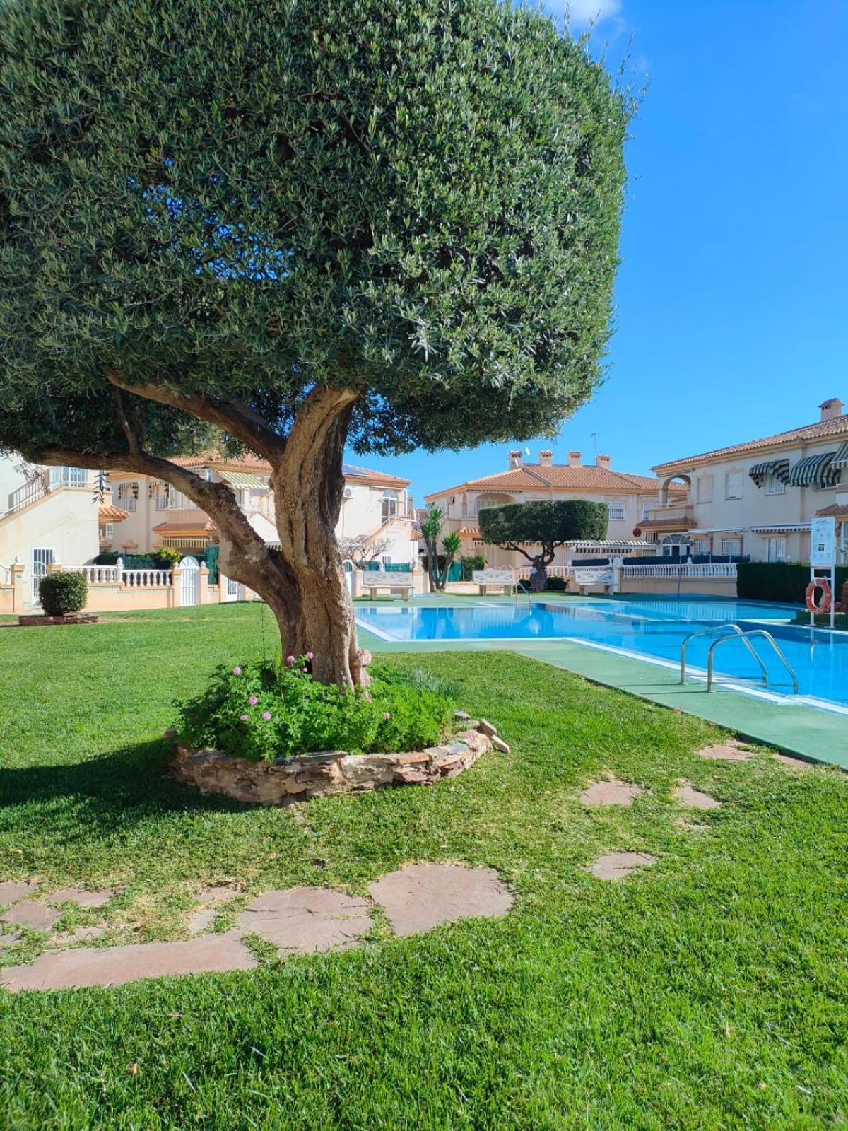 Casa De Buenos Dias Apartment Torrevieja